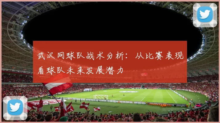 武汉网球队战术分析：从比赛表现看球队未来发展潜力