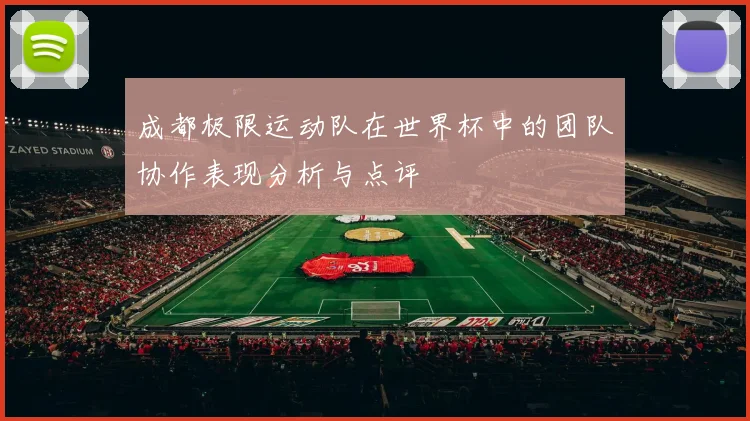 成都极限运动队在世界杯中的团队协作表现分析与点评