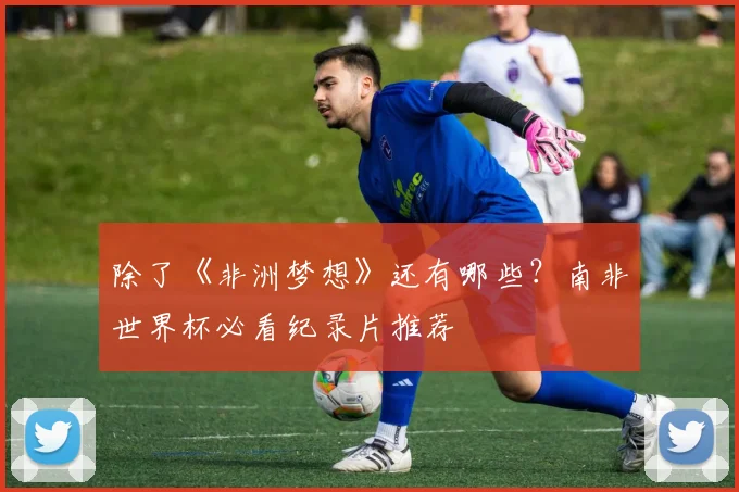 除了《非洲梦想》还有哪些？南非世界杯必看纪录片推荐
